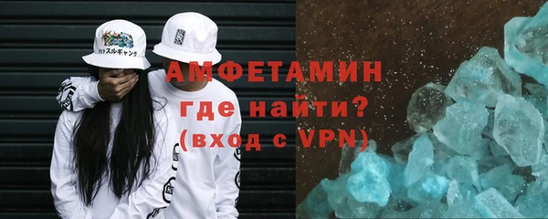 гашик Пестово