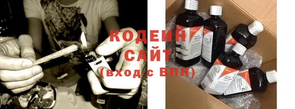 дживик Пересвет