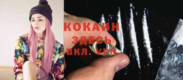 гашик Пестово
