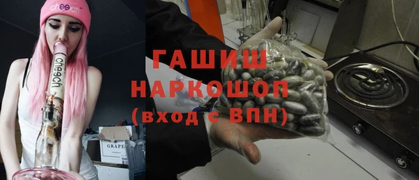 гашик Пестово