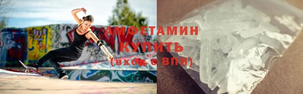гашик Пестово