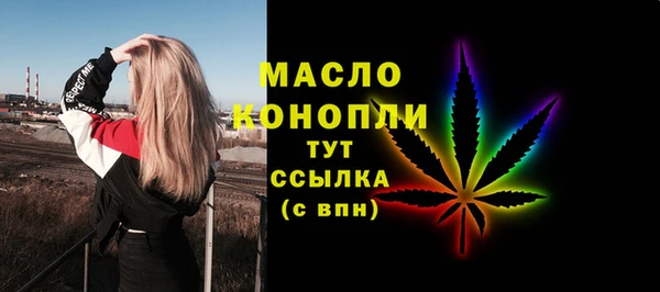 гашик Пестово