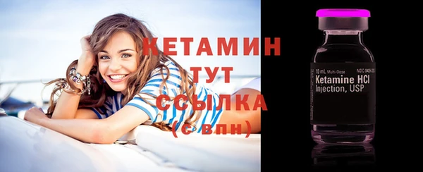 дживик Пересвет