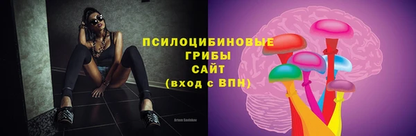 дживик Пересвет