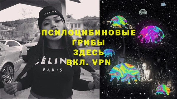 дживик Пересвет