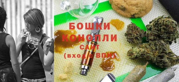 гашик Пестово