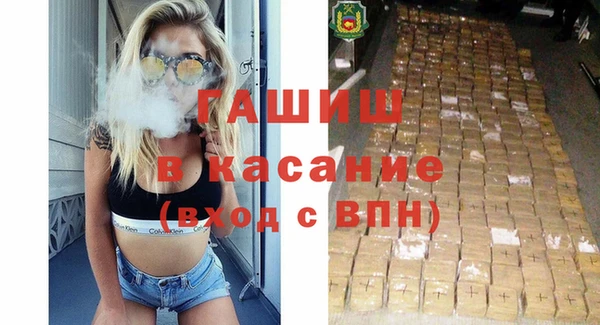 гашик Пестово