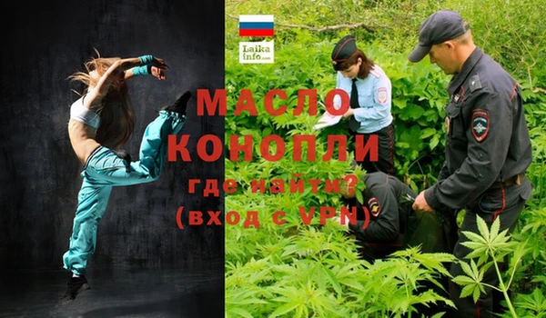 гашик Пестово