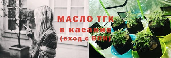 дживик Пересвет