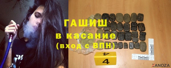 гашик Пестово