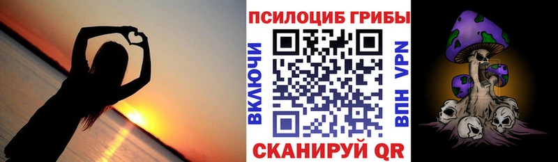 Галлюциногенные грибы прущие грибы  как найти наркотики  Снежногорск 